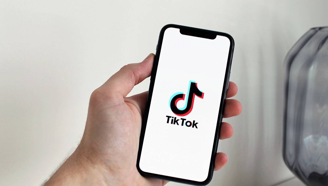 TikTokBannedTikTok Usage and Revenue Data smartsangat